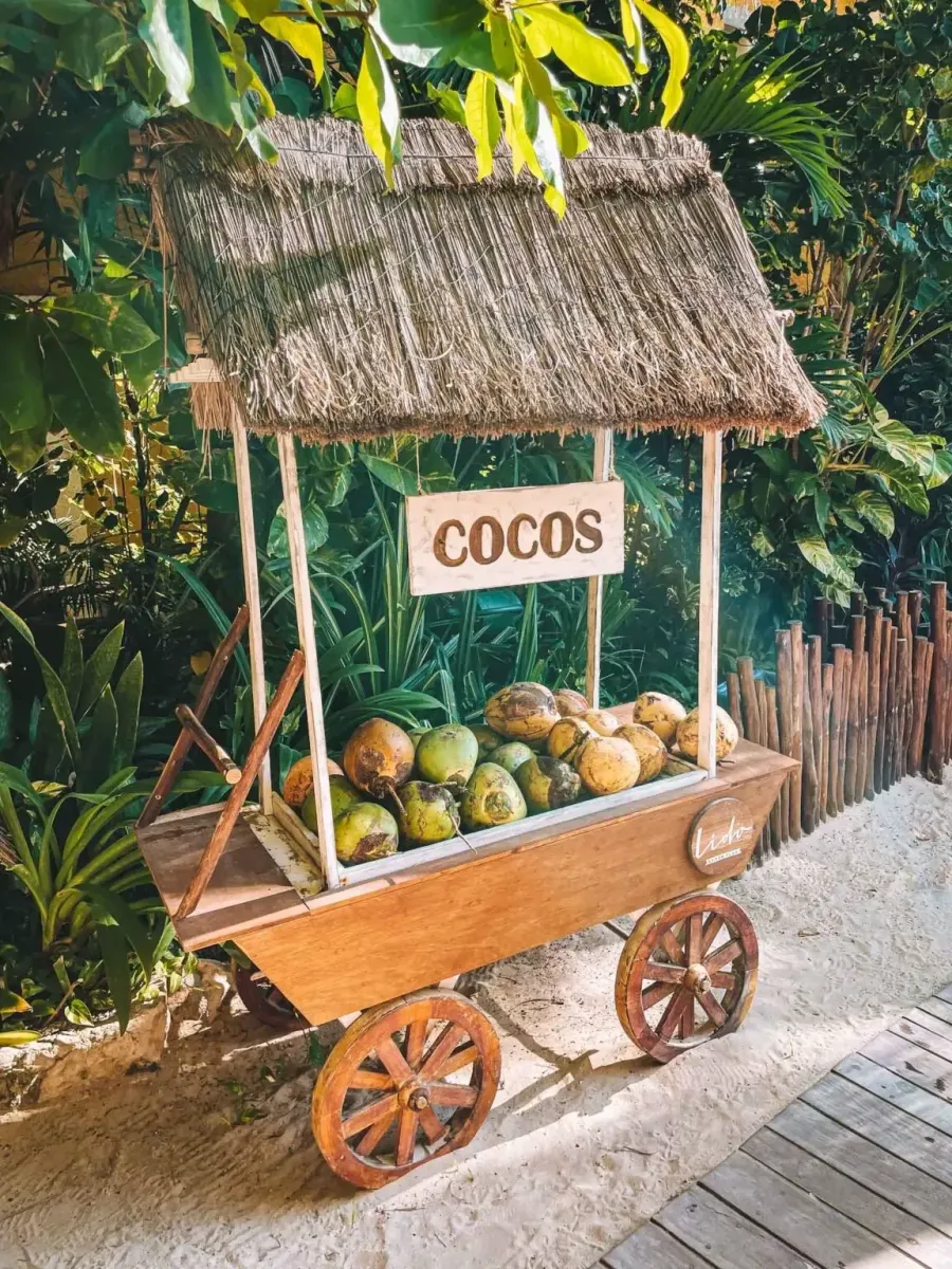 A coconut stall under a thatched roof